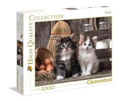 Lovely Kittens Cats