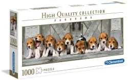 Beagles Dogs