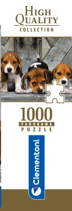 Beagles - Compact Box Dogs