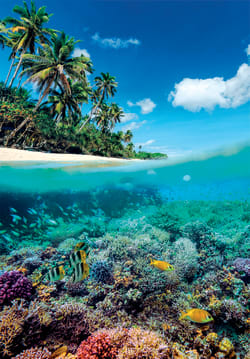 Summer Paradise Travel