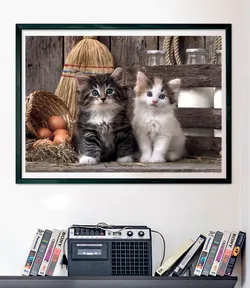 Lovely Kittens - Compact Box Cats