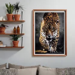 Walk Of The Jaguar - Compact Box Big Cats