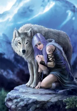 Protector - Compact Box Wolf