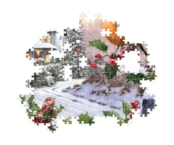 Robin And Holly Bushes Christmas