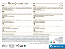 Robin And Holly Bushes Christmas