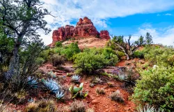 Bell Rock in Sedona, Arizona Landscape