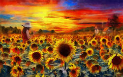 Sunflower Fields Forever Flower & Garden
