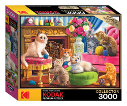 Kittens By The Fireplace Cats