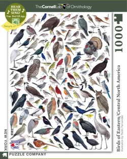 Birds of Eastern/Central North America Birds