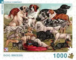 Dog Breeds Dogs