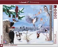 Winter Trail Birds