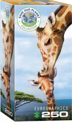 Giraffe Jungle Animals