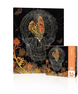 Cocoon Butterflies and Insects