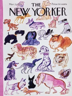 Doggies Dogs