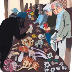 Mushroom Festival Flower & Garden