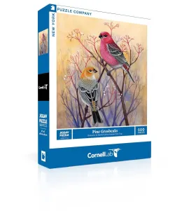 Pine Grosbeaks Birds