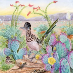 Greater Roadrunner Birds