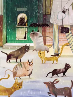 A Rainy Day Cats