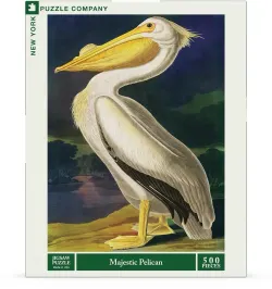 Majestic Pelican Birds
