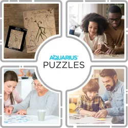 Fantastic Beasts Bowtruckle Movies & TV