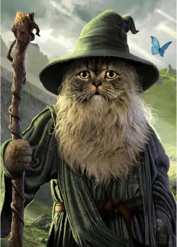 Lord of the Cats - Catdalf Cats