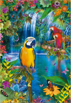 Bird Tropical Land Birds