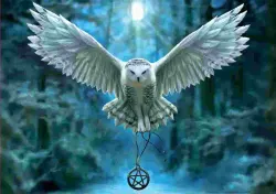 Awake Your Magic Birds