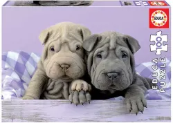 Too Early to Get Up Dogs