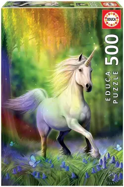 Chasing The Rainbow Unicorn