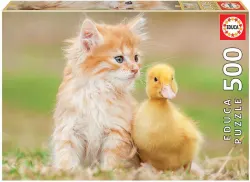 Adorable Friends - Scratch and Dent Cats