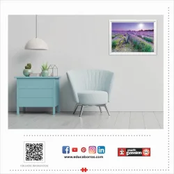 Cycling in the Lavender Field Flower & Garden