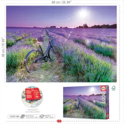 Cycling in the Lavender Field Flower & Garden