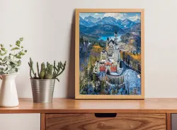 Neuschwanstein Castle From The Air Castle