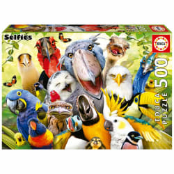 Watch The Birdie Birds