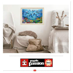 Party Under The Sea Sea Life