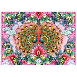 Bengal Peacocks Birds