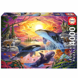 Orcas And Wolves Animals