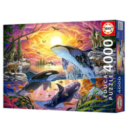 Orcas And Wolves Animals