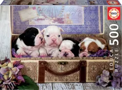 Puppies Dogs