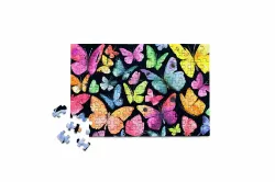 Butterflies Butterflies and Insects