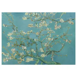 Almond Blossom Flower & Garden