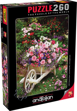 Garden Flowers Flower & Garden