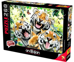 Tiger Selfie Big Cats