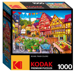 Colorful European Town Flower & Garden