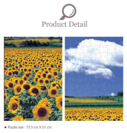 Sunflower Field 4 Flower & Garden