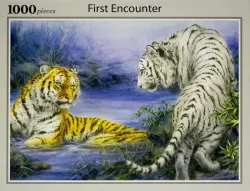 First Encounter Big Cats