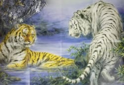 First Encounter Big Cats