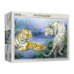 First Encounter Big Cats