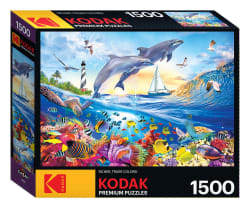 Playful Summer Dolphins Sea Life