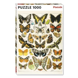 Butterflies and Moths Butterflies and Insects